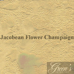 Bild von Stoffmuster Jacobean Flower Champagne